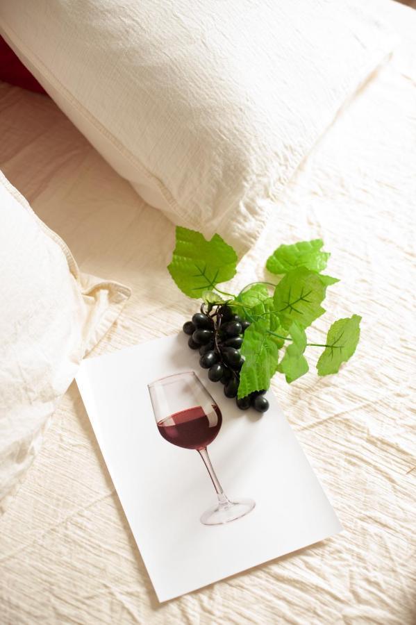 Douce Parenthese A Carcassonne Apartment Ngoại thất bức ảnh