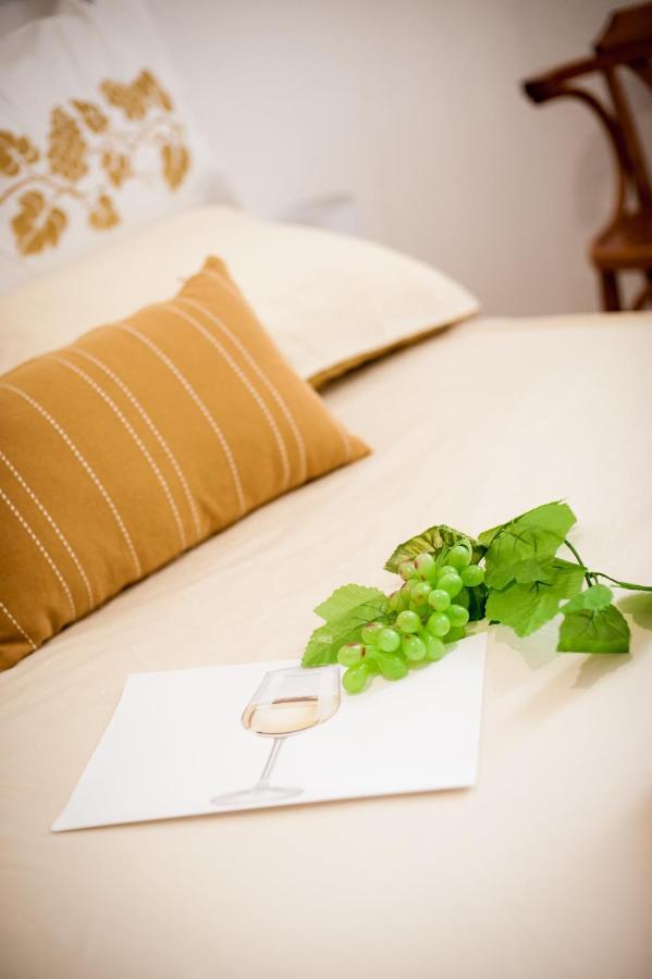 Douce Parenthese A Carcassonne Apartment Ngoại thất bức ảnh