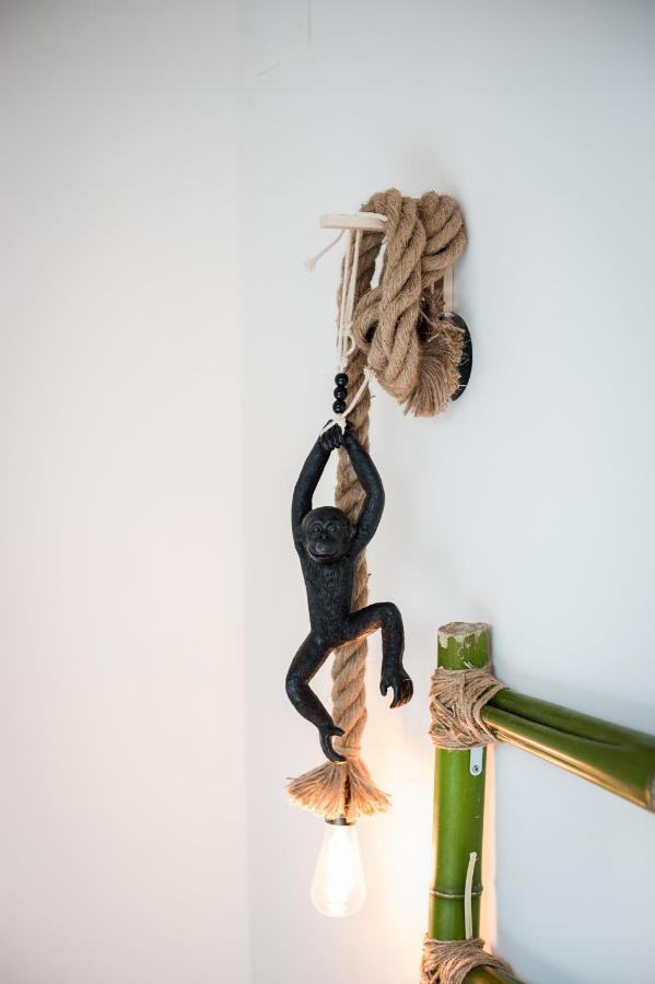 Douce Parenthese A Carcassonne Apartment Ngoại thất bức ảnh