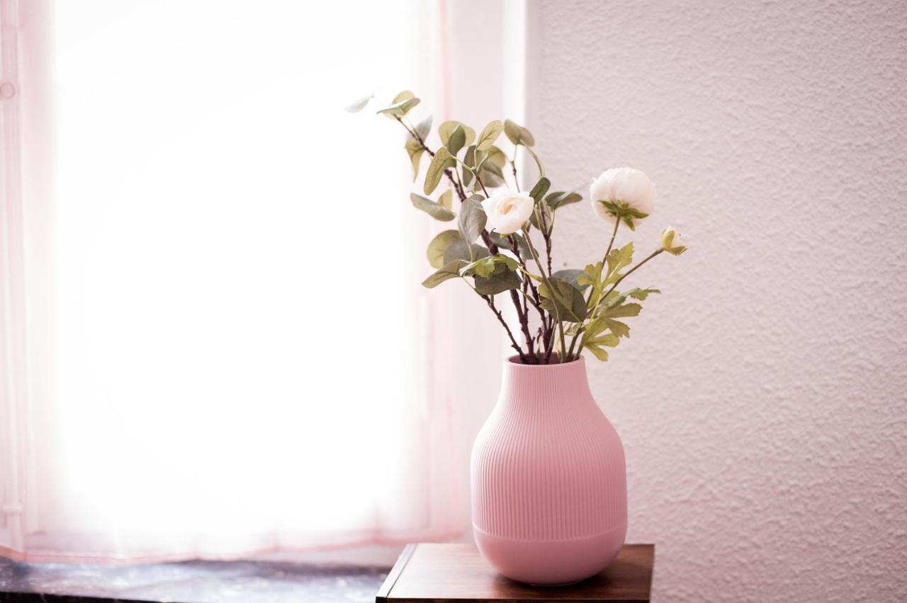 Douce Parenthese A Carcassonne Apartment Ngoại thất bức ảnh